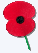 ANZAC Poppy